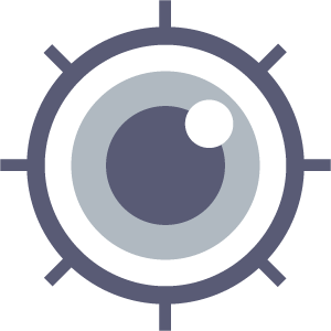 Icon 1